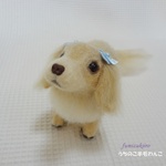 k様オーダー品　きなこちゃん 　～うちのこ羊毛わんこ～