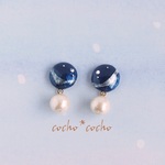 プラネタリウムピアス/イヤリング