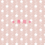 専用ページ