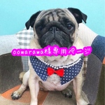 oowarawa様専用ページ