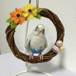 ※専用ページです※218-521様のセキセイインコちゃんのリース♪