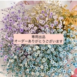 専用出品