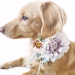 大花とアンティークレースのネックドレス 小型犬 中型犬 ペット アクセサリー 白 お祝い おしゃれ 飾り
