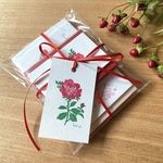 【2月限定】春の花ミニカードハッピーパックA