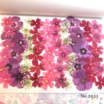 ♡new♡  ♡可愛い押し花セット♡ ♡たくさん入って使いやすい押し花セット♡