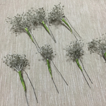 大人気！ドライフラワーのかすみ草、グレー