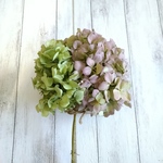 秋色紫陽花のドライフラワー⑥