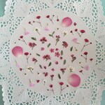 押し花素材420　小花のセット