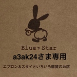 a3ak24さま専用　mi☆新幹線柄（2）お弁当3点セット