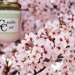 【CandleCast】大切な時間にキャンドルキャスト：サクラアロマキャンドル