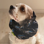 USAコットン★ローラースケート柄　ブラック　犬用スヌード　中型犬用スヌード