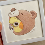 水彩&色鉛筆画・原画くまさんオカメインコ