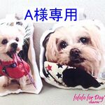 A様専用