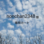☆nonchan2348様専用カート☆