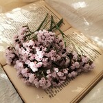 桜のお花のような、くすみピンク色の可愛いスターチスのドライフラワー