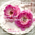 アネモネローズ   ２ 輪  ３D-Style　自家製ドライフラワー　レジン・キャンドル封入