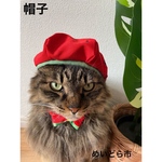 スイカ帽子、猫ちゃんの帽子