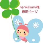 narikasumi様専用ページ　レッスンバッグ　《恐竜　骨　化石》男の子