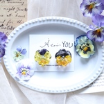 YOU made⚮̈ビオラ 耳飾り《dark purple × yellow 》