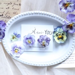 YOU made⚮̈ビオラ 耳飾り《light purple》