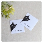 ましかく  黒猫 Thankyouｶｰﾄﾞ 50枚 【白】