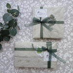 植物標本　Botaical Collection■ホワイト■3本セット