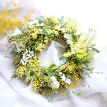 大人気‼︎mimosa 春の花ミモザとスターチスのナチュラルリース【ドライフラワー】