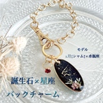再販19[バックチャームver.]夜花シリーズ 誕生石×12星座꙳★*ﾟ受注制作