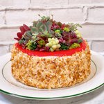 ケーキ寄せ植え