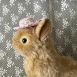 ウサギの帽子  春用
