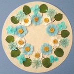 押し花セットB＜組み立てのお花＆レースフラワー＆あじさい他＞