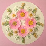 押し花セットF＜組み立てのお花＆リーフ＆レースフラワー＞
