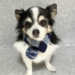犬 SSサイズ ニット マフラー ♡ 猫 マフラー ペット マフラー ぽんぽん ボーダー マフラー 犬 スタイ 猫 スタイ 犬マフラー 首輪 ネックレス