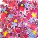 ♡new♡作家様必見♡押し花MIXセット♡押し花セット
