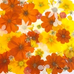 ♡new♡作家様必見♡押し花MIXセット♡押し花セット