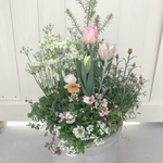 ･:*チューリップの寄せ植え･:*