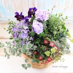 アネモネとパープル系のお花のギャザリング寄せ植え