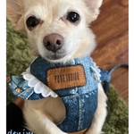 ハーネス ☆ denim ハーネス・リード・ワッペン、袖フリル、ダブルレース付き（新作柄）リボン水色､ピンク／ワッペンA〜 F選べます