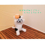 のびのびねこごろ〜とちょうちょさん