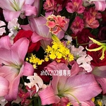 ah072122様専用品