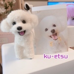 要相談  オーダー羊毛フェルトわんこ 