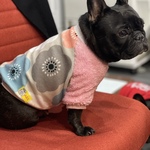 冬物犬服オーダー★北欧花柄ボアトレーナー中型犬小型犬フレンチブルドッグパグ服フレブル服トイプーボストンテリア