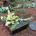 Nana様専用‥ミモザバージョン&etc、11点セット