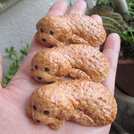 トイプードルの箸置き（茶色・３個セット）