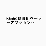 専用ページ