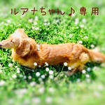 ルアナちゃん♪専用