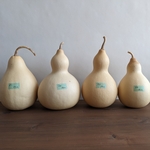 素材ひょうたんセットＤ