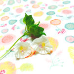 みちくさ  白いお花のピアス イヤリング