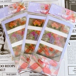 《20枚入》PVC 香有漫日光 チューリップ シールFlower0239