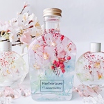 春を告げる桜のハーバリウム　pastel  フラワーギフト